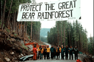 Protect The Great Bear Rainforest